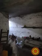 Продам Гараж