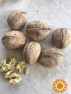 Продам орехи