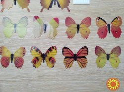 Бабочки №3 декор на холодильник, обои, зеркала