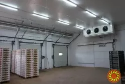 Холодильна камера Тривалого зберігання яєць (встановлення під ключ)