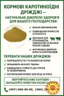 Кормові дріжджі – білково-вітамінна добавка від виробника по Україні та на експорт.