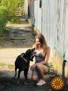 Послуги по вигулу собак