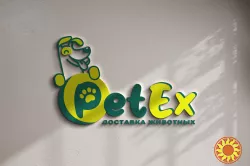 Разработка логотипа, визитка, листовка, сертификат