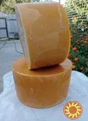 Продам віск бджолиний