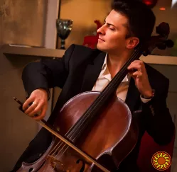 Професійна жива музика, на Ваш: Ювілей, Весілля, Корпоратив, День народження! Кращі хіти XX-XXI ст., на віолончелі! Великий репертуар. -Зустріч гост