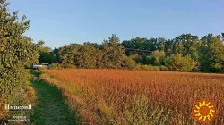 Півбудинку в Шамраівці.27 соток.Фундамент під новий будинок.