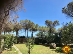 Вилетта на юге Сардинии сдается в аренду, недорого