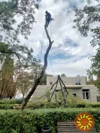 Спил дерева, покос травы , расчистка участков вывоз мусора Одесса