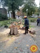 Спил дерева, покос травы , расчистка участков вывоз мусора Одесса