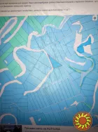 Вишгородский р. н. с. Верхня Дубешня 100га пай