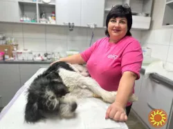 Ветклініка "SOS" - доступна допомога тваринам!