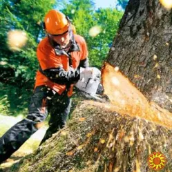 Корчевание пней.обрезка деревьев,сада,спил дерева,уборка территории,участка Одеса