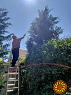 Садовник, обрезка сада, садовых деревьев, уход за садом Одесса