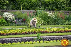Садовник, обрезка сада, садовых деревьев, уход за садом Одесса