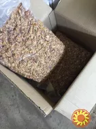 Продам бізнес по переробці волоського горіху