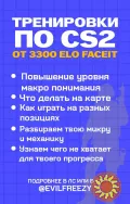 Тренер по игре CS2 (3300elo Faceit)
