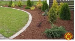 Кора соснова: велика, середня, дрібна, мульча. Декор. Опт та роздріб.