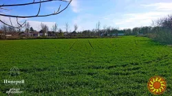 Дом в селе Острая Могила.Газ,свет,вода заведены.