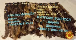 "Продать волосы Запорожье , Скупка волос в Запорожье , Покупаем волосы Запорожье , Куплю волосы Украина Продать волосы
