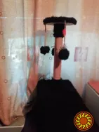 Когтеточка с домиком НОВАЯ