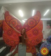 Крылья надувные на человека 3х3 м 2 кг 4 часа работы на одном заряде