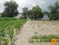 Продам будинок на березі Дніпра