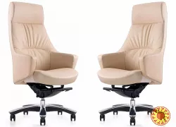 Высококачественное кресло Status A2208 BEG для руководителей