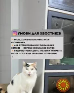 Перетримка для котиків. Готель для котиків