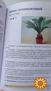 Книга комнатные растения. Новое руководство по уходу. Воронцов В. В.