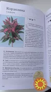 Книга комнатные растения. Новое руководство по уходу. Воронцов В. В.