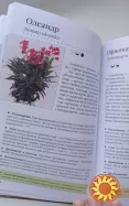 Книга комнатные растения. Новое руководство по уходу. Воронцов В. В.