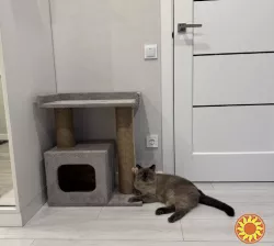 Когтеточка домик з дерева з лежанкой для кота, якісна та міцна кігтето