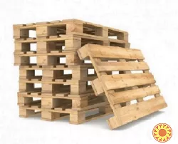 Купуємо піддони в будь-якому стані за найкращою ціною Дніпро.