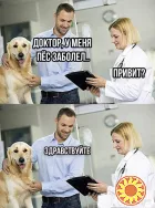 Виклик ветеринара додому Дніпро, Кастрація, Стерилізація