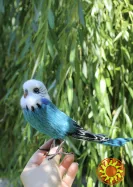 Папуга хвилястий іграшка валяна з шерсті інтерєрна пташка попугай волнистий сувенір подарунок