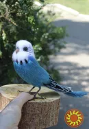 Папуга хвилястий іграшка валяна з шерсті інтерєрна пташка попугай волнистий сувенір подарунок