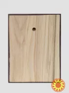 Ікона святого Спиридона Триміфунтського