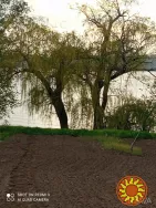 Продам будинок на березі Дніпра власний берег