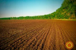 Срочная аренда земли сельхозназначения. ФАСАД КИЕВСКОЙ ТРАССЫ