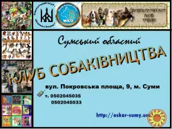 Запрошуємо в клуб собаківництва