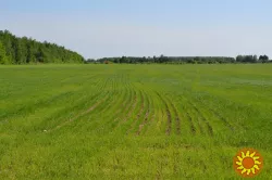 Срочная аренда замли . ФАСАД КИЕВСКОЙ ТРАССЫ