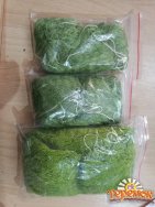 Паук-малявочник