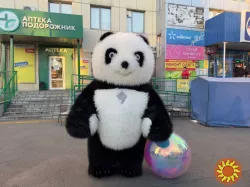 Надувний костюм 4 години безперервної роботи, Ювілеї, свята, реклама. 2.6 м 8 кг