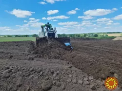 Послуги з розчищення та вирівнювання території