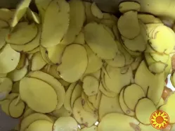 Овочерізка для нарізки соломкою (по-корейськи), слайсами STvega Carrot Shredder 500