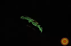 Кольцо Всевластия со светящейся надписью — артефакт из Властелина Колец для фанатов Средиземья