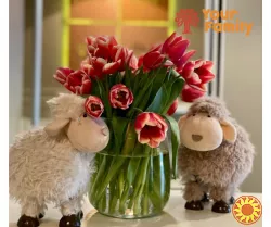 Прийом імунолога в медичному центрі Your family.