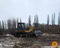 Послуги з корчування садів, дерев, пеньків та чагарників
