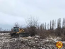 Послуги з корчування садів, дерев, пеньків та чагарників