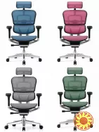 Превосходное компьютерное кресло Ergohuman Luxury 2 с доставкой